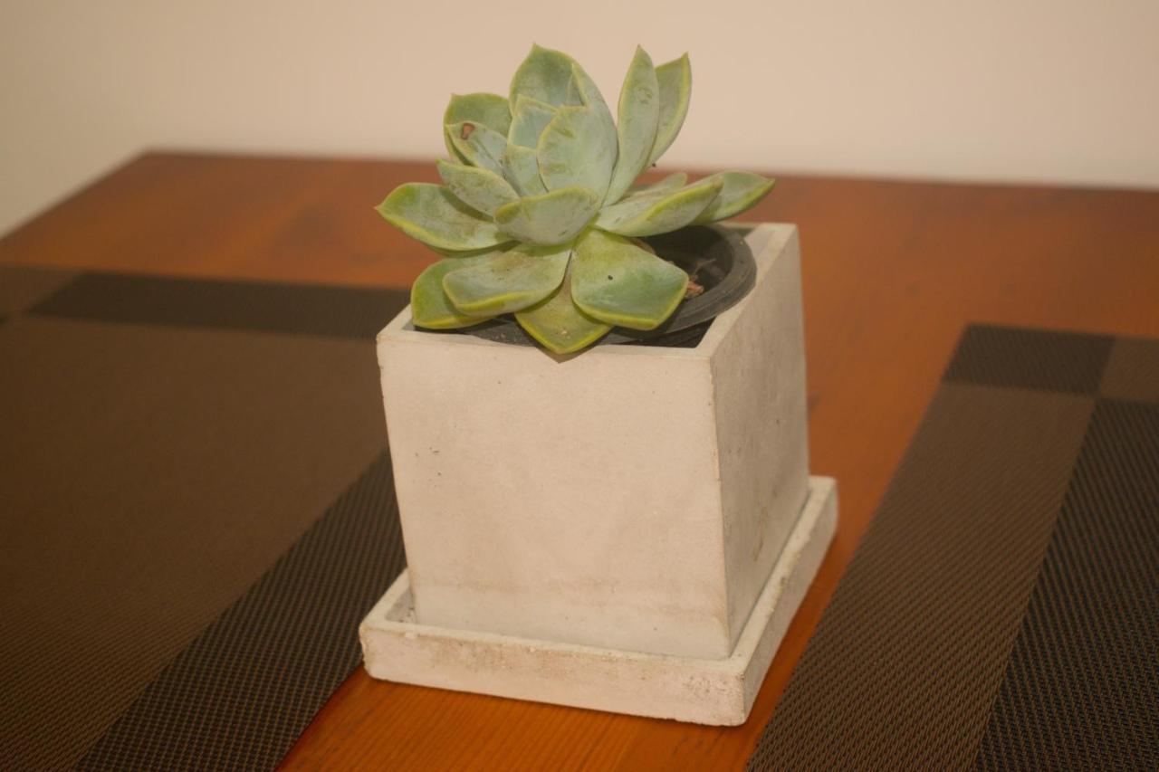 Serene Home キャンディー エクステリア 写真